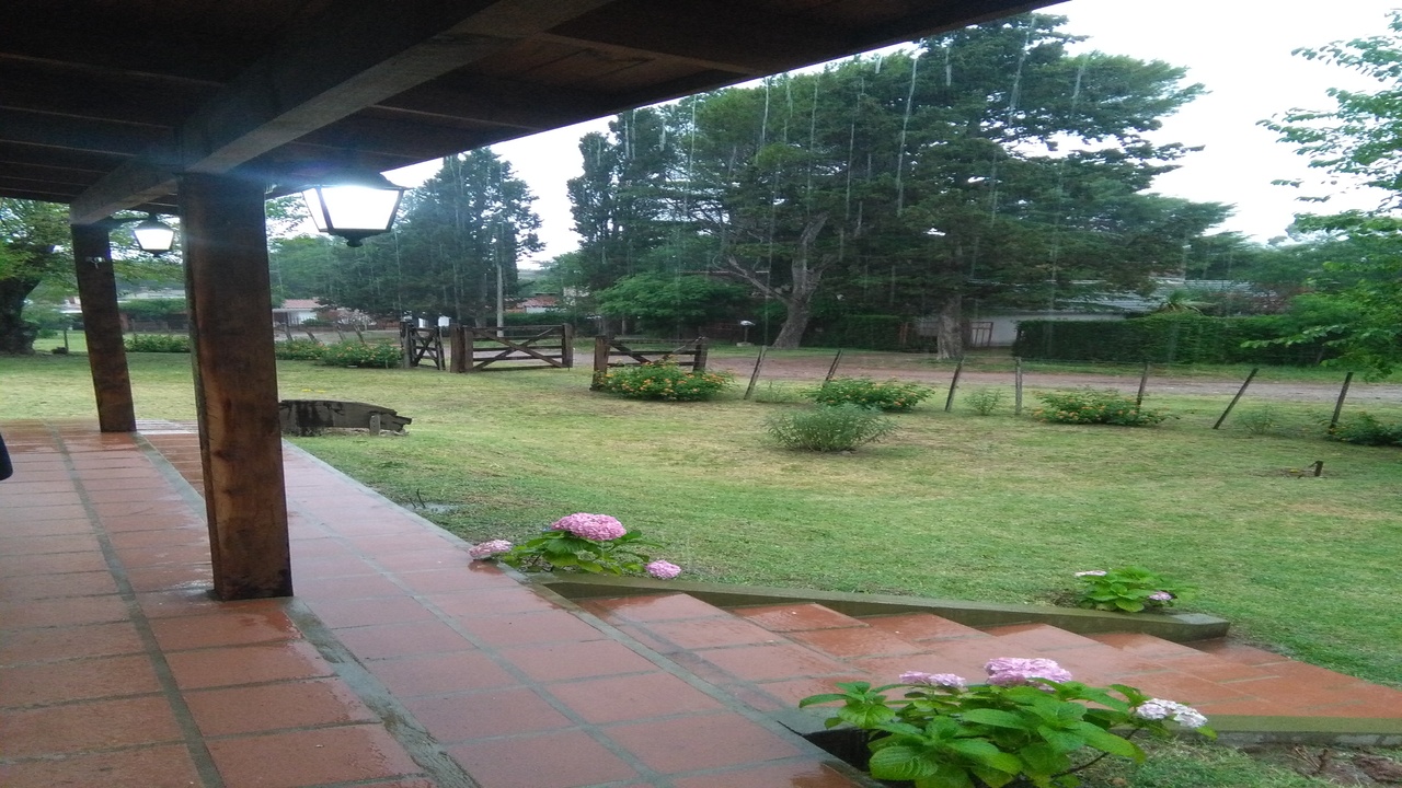imagen15
