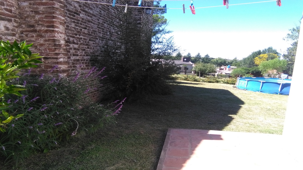 imagen20