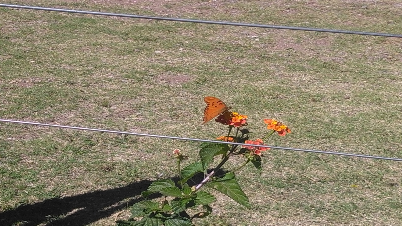 imagen30