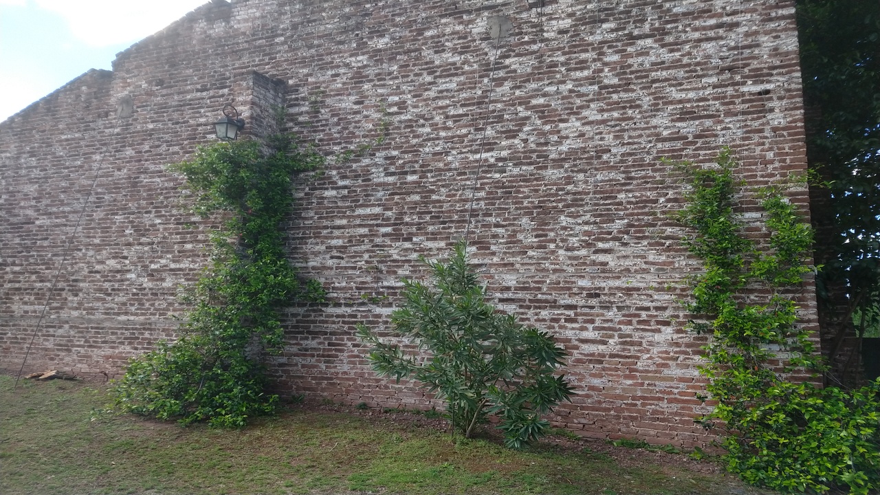 cabaña33