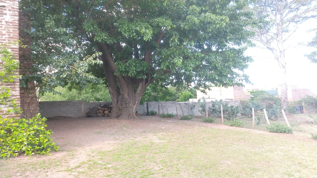 cabaña47