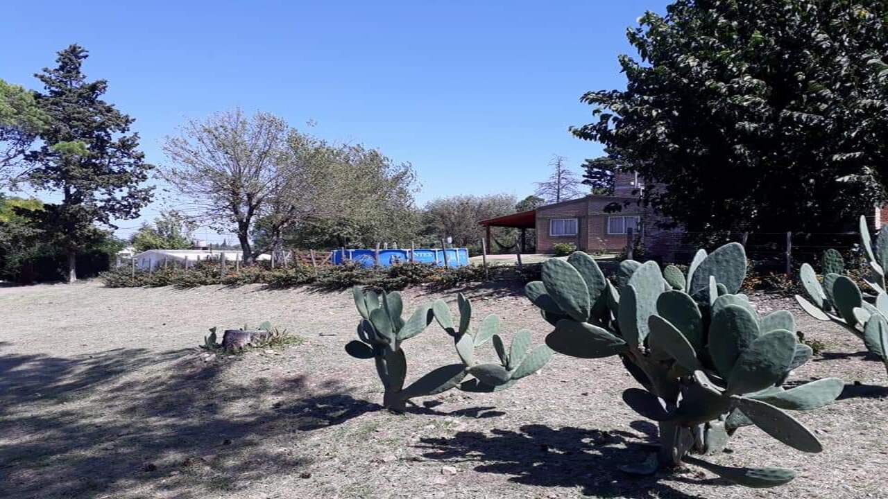 imagen51